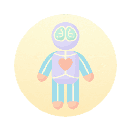 human body
